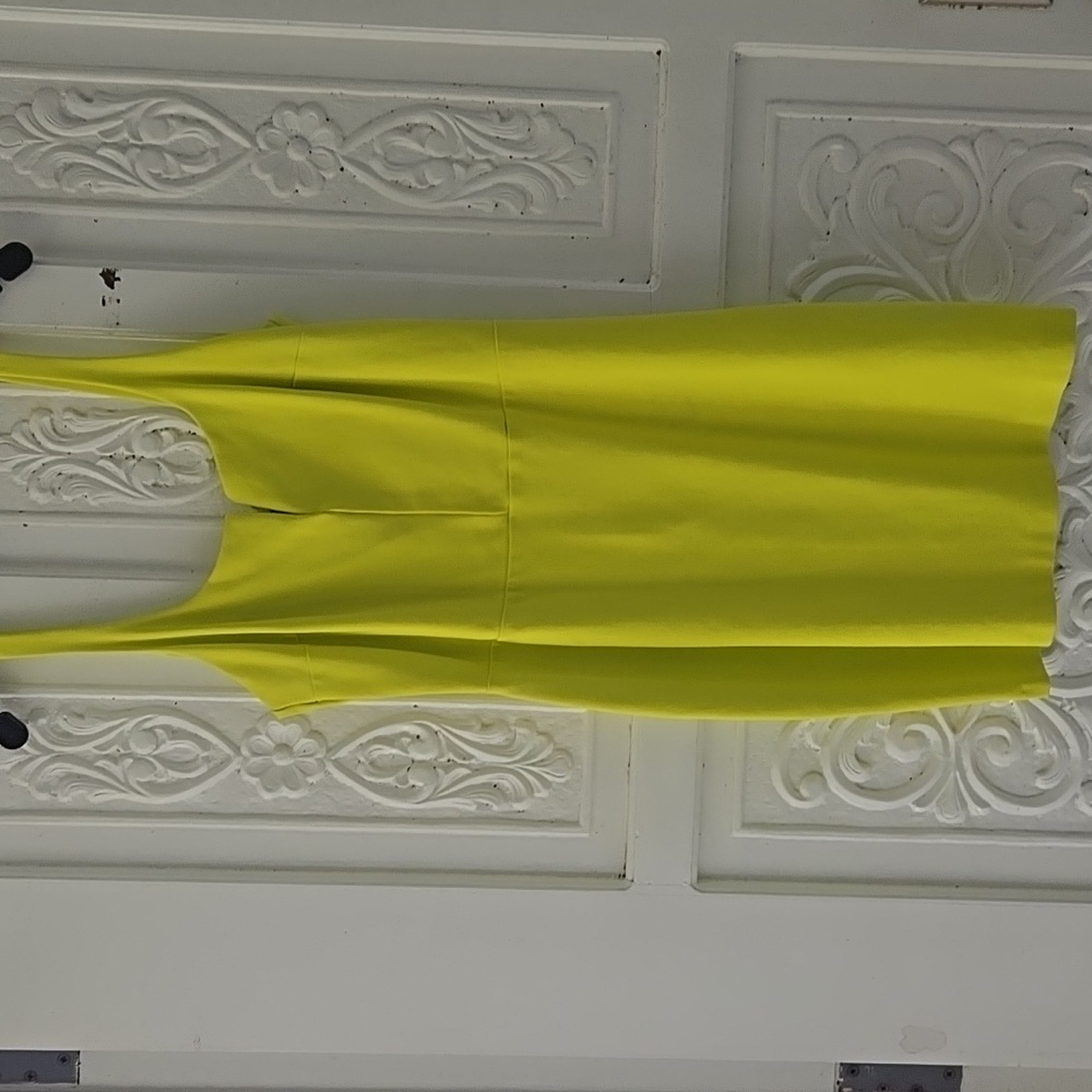 BAR III Fitted Dress Large